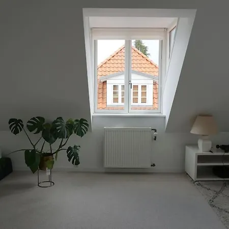 Big House Close To Copenhagen *